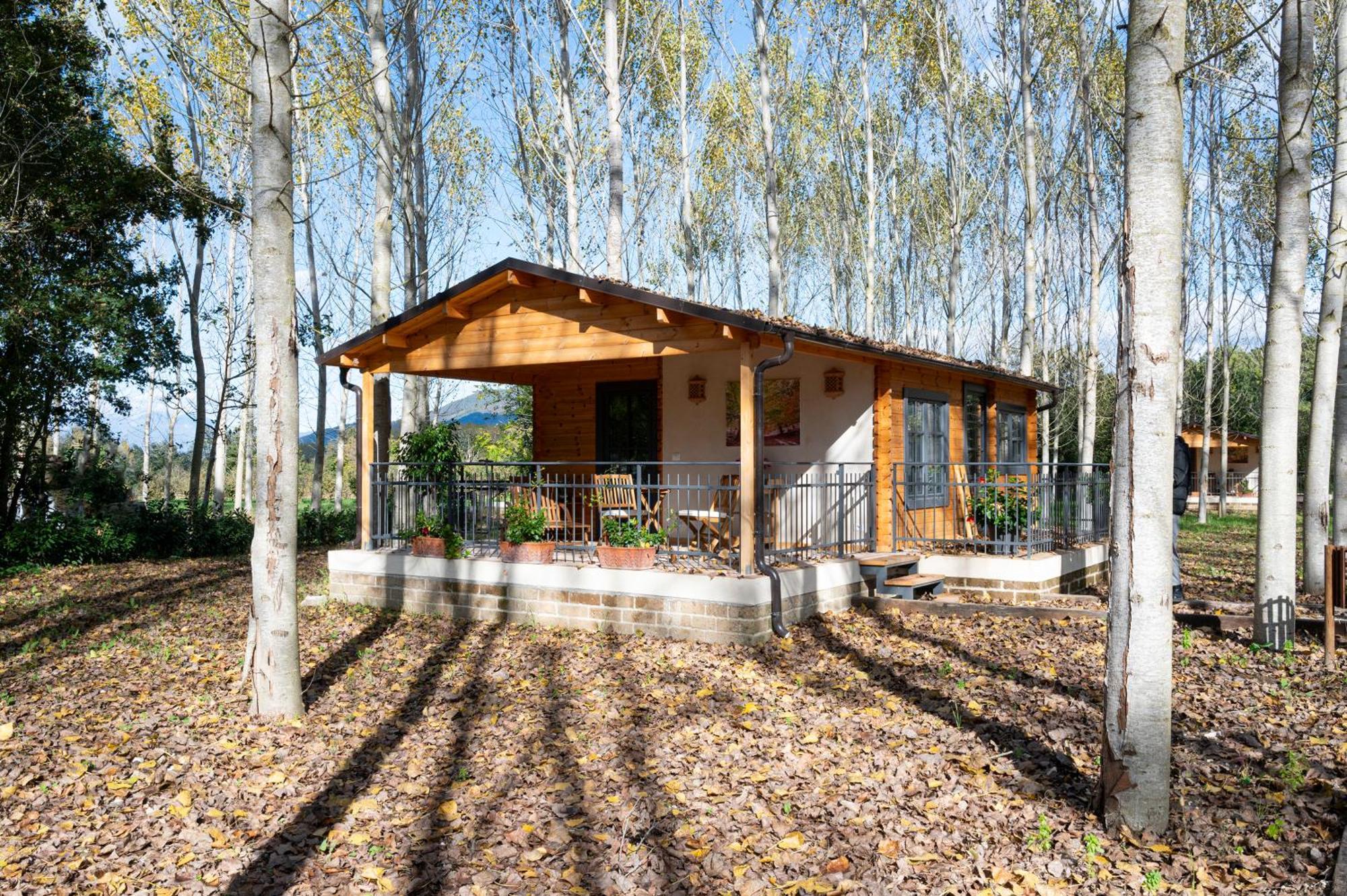 Family Farm Soc. Agr. A R.L. Vila Vairano Patenora Exterior foto